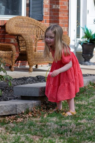 Z5E_2025_Nik-DeNoiseAI-standard_Nik_DxO