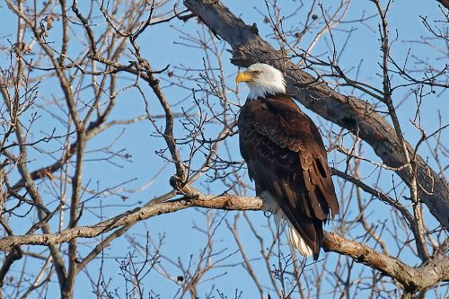 Z5E_2069_Nik-DeNoiseAI-standard_Nik_DxO