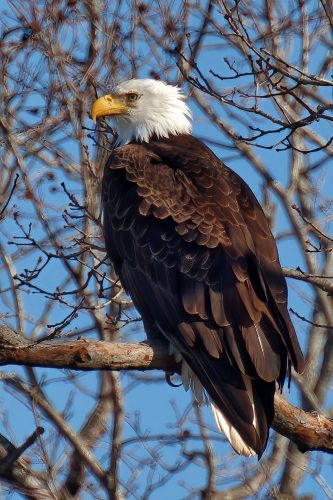 Z5E_2147_Nik-DeNoiseAI-standard_Nik_DxO