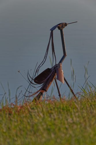 Z5E_2270_Nik-DeNoiseAI-standard_Nik_DxO