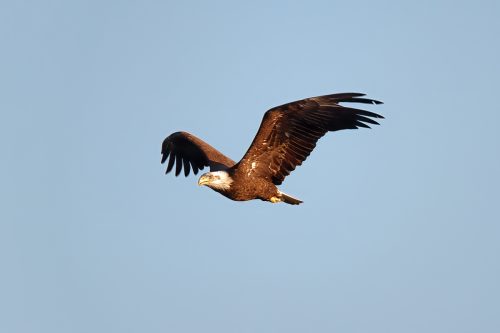 Z5E_2285_Nik-DeNoiseAI-standard_Nik_DxO