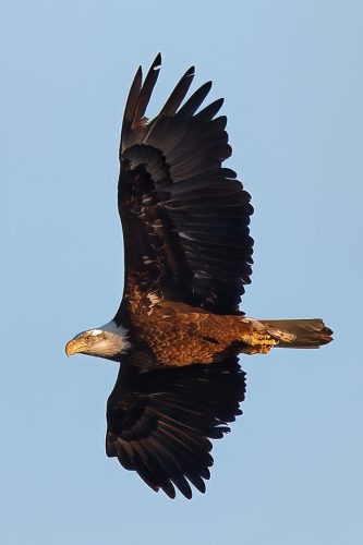 Z5E_2289_Nik-DeNoiseAI-standard_Nik_DxO