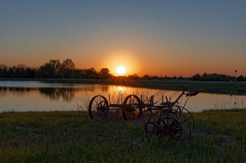 Z5E_2304_Nik-DeNoiseAI-standard_Nik_DxO