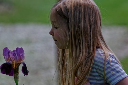 Z5E_2323_Nik-DeNoiseAI-standard_Nik_DxO