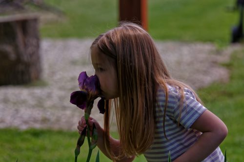 Z5E_2324_Nik-DeNoiseAI-standard_Nik_DxO