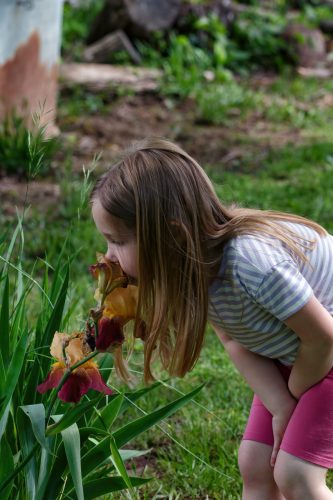 Z5E_2325_Nik-DeNoiseAI-standard_Nik_DxO