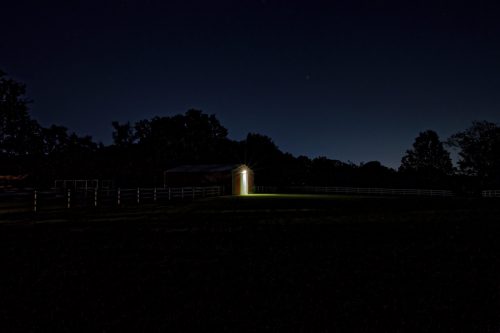 Z5E_2341_Nik-DeNoiseAI-standard_Nik_DxO