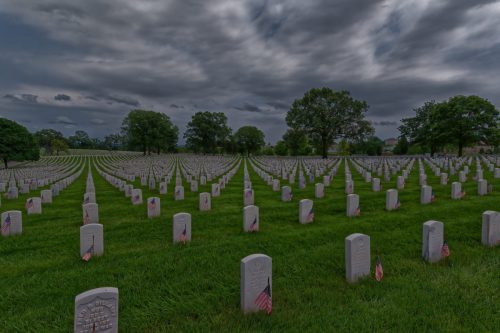 Z5E_2395_Nik-DeNoiseAI-standard_Nik_DxO