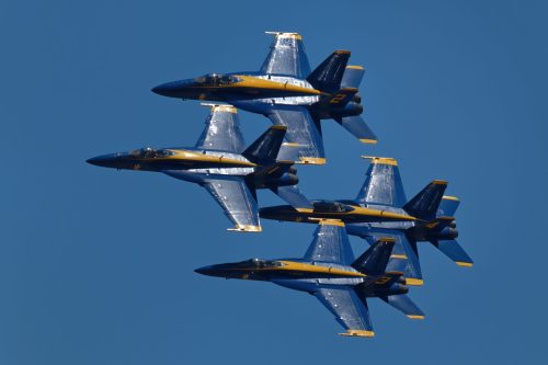 Z5E_2508_Nik-DeNoiseAI-standard_Nik_DxO