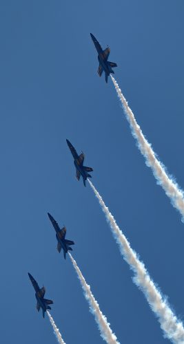 Z5E_2686_Nik-DeNoiseAI-standard_Nik_DxO