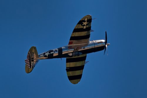 Z5E_3356_Nik-DeNoiseAI-standard_Nik_DxO