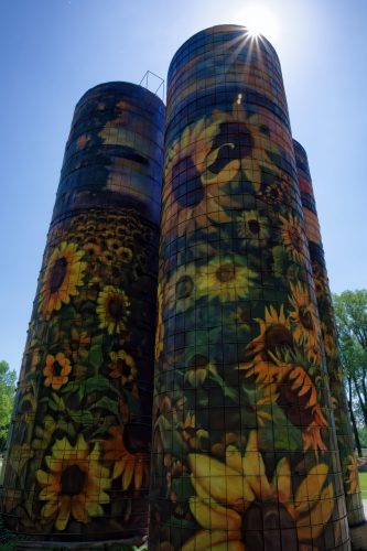 Z5E_3433_Nik-DeNoiseAI-standard_Nik_DxO