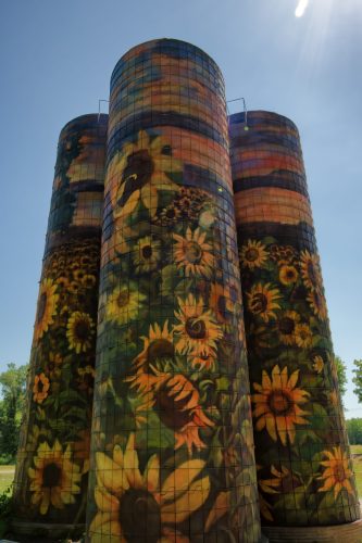 Z5E_3435_Nik-DeNoiseAI-standard_Nik_DxO