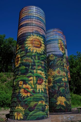 Z5E_3437_Nik-DeNoiseAI-standard_Nik_DxO