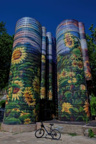 Z5E_3441_Nik-DeNoiseAI-standard_Nik_DxO