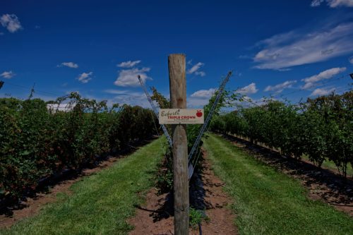 Z5E_3456_Nik-DeNoiseAI-standard_Nik_DxO