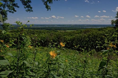 Z5E_3474_Nik_Nik-DeNoiseAI-standard_Nik_DxO