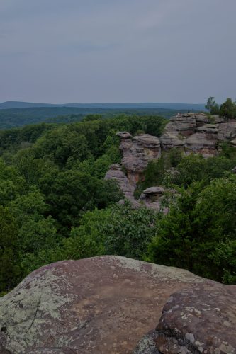 Z5E_3535_Nik-DeNoiseAI-low-light_Nik_DxO