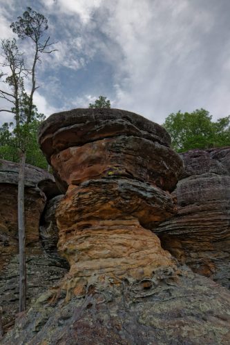 Z5E_3550_Nik-DeNoiseAI-low-light_Nik_DxO