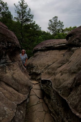 Z5E_3553_Nik-DeNoiseAI-low-light_Nik_DxO