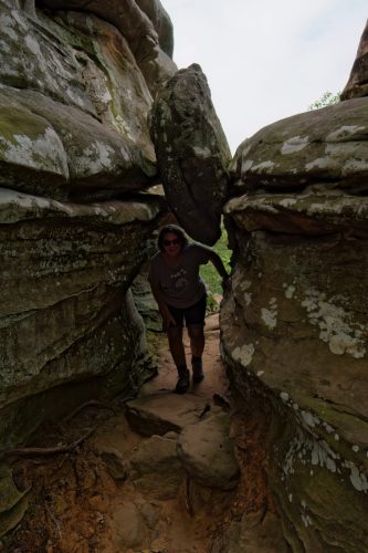 Z5E_3556_Nik-DeNoiseAI-low-light_Nik_DxO