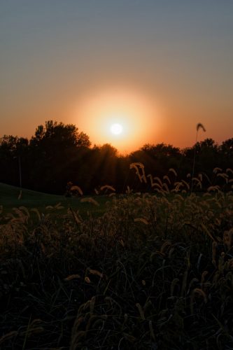 Z5E_4122_Nik-DeNoiseAI-standard_Nik_DxO