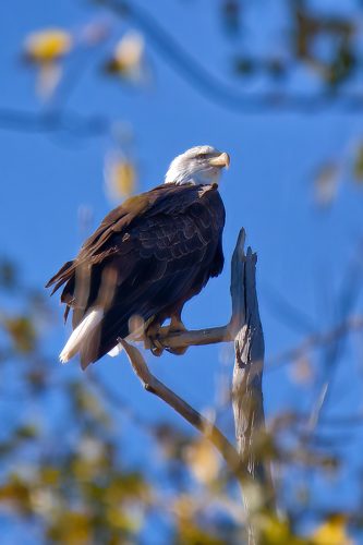 Z5E_4452_Nik-DeNoiseAI-standard_Nik_DxO