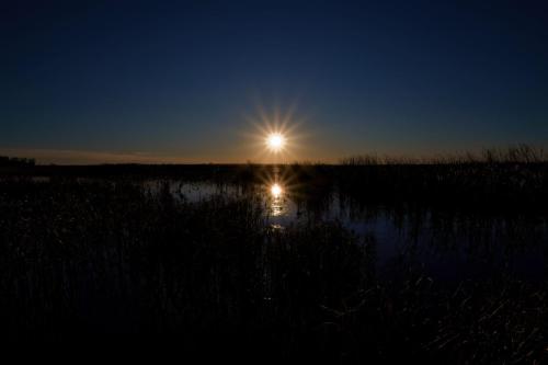 Z5E_4550_Nik-DeNoiseAI-low-light_Nik_DxO