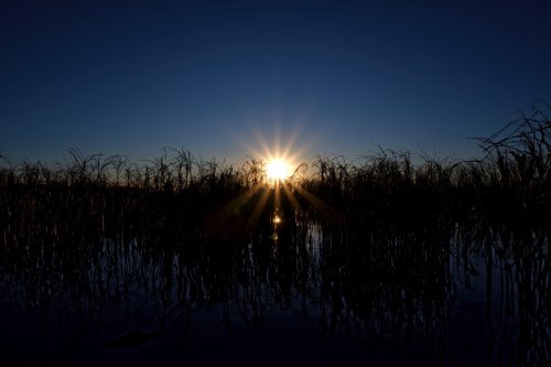 Z5E_4552_Nik-DeNoiseAI-standard_Nik_DxO