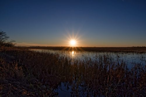 Z5E_4555_Nik-DeNoiseAI-standard_Nik_DxO