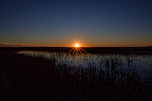 Z5E_4562_Nik-DeNoiseAI-standard_Nik_DxO