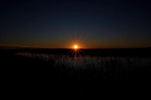Z5E_4563_Nik-DeNoiseAI-raw_Nik_DxO