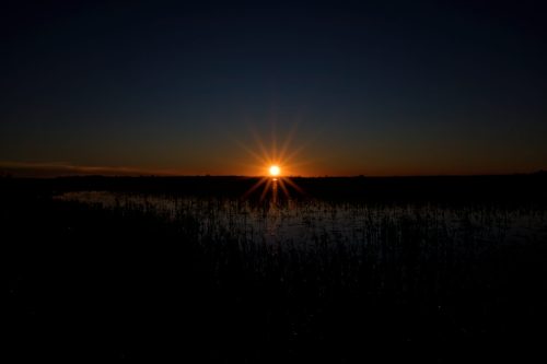 Z5E_4563_Nik-DeNoiseAI-raw_Nik_DxO