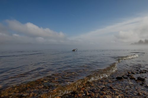 Z5E_4992_Nik-DeNoiseAI-standard_Nik_DxO