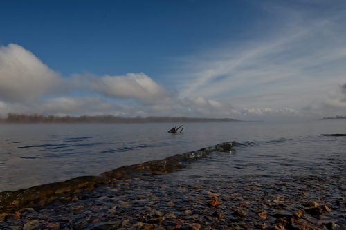 Z5E_5017_Nik-DeNoiseAI-standard_Nik_DxO