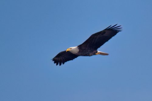 Z5E_5096_Nik-DeNoiseAI-low-light_Nik_DxO