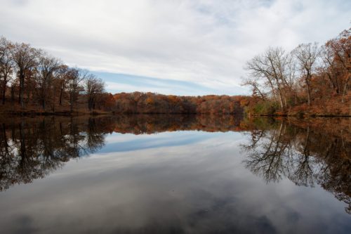 Z5E_6325_Nik-topaz-sharpen-denoise_Nik_DxO