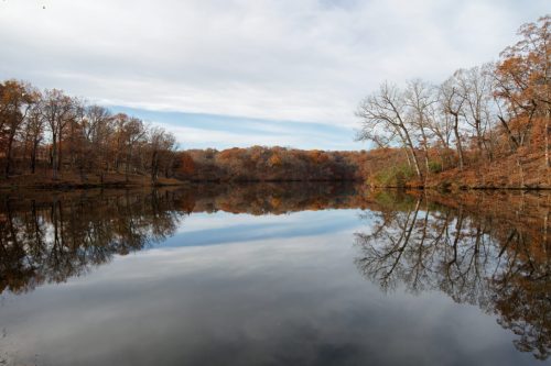 Z5E_6328_Nik-topaz-denoise-sharpen_Nik_DxO