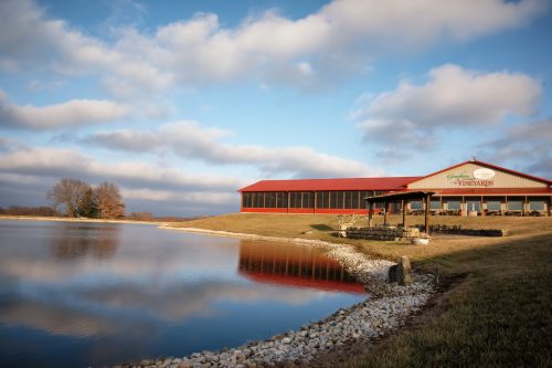 A Winery Kind of Day