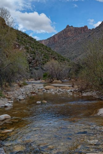 Z5E_7245-NEF_DxO_DeepPRIME_Nik-DeNoiseAI-standard_Nik-SharpenAI-Standard_DxO