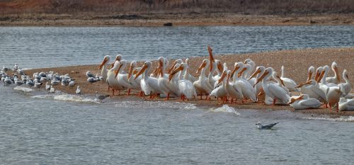 Z5E_7477-NEF_DxO_DeepPRIME_Nik-DeNoiseAI-standard_Nik-SharpenAI-Focus_DxO