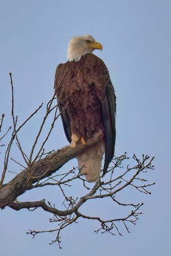 Z5E_7627-NEF_DxO_DeepPRIME-DeNoiseAI-low-light_Nik-SharpenAI-Focus_DxO