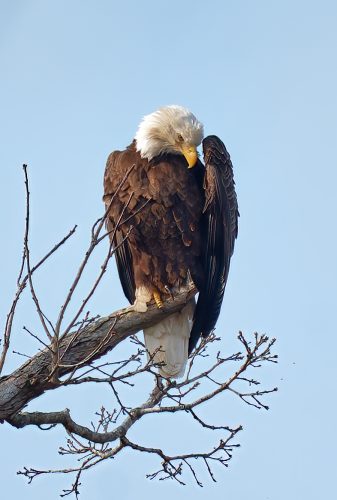 Z5E_7640_DxO_Nik-DeNoiseAI-standard_Nik-SharpenAI-Focus_DxO