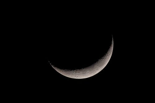 Z5E_7735-NEF_DxO_DeepPRIME_Nik-DeNoiseAI-standard_Nik-SharpenAI-Focus-gigapixel-art-scale-2_00x_DxO