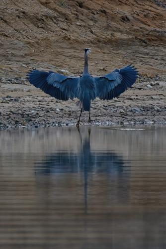Z5E_7746-NEF_DxO_DeepPRIME_Nik-DeNoiseAI-standard_Nik-SharpenAI-Focus-gigapixel-art-scale-2_00x_DxO