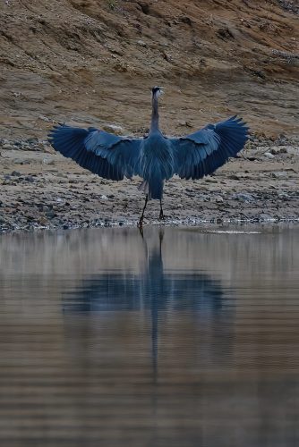 Z5E_7746-NEF_DxO_DeepPRIME_Nik-DeNoiseAI-standard_Nik-SharpenAI-Focus-gigapixel-art-scale-2_00x_DxO