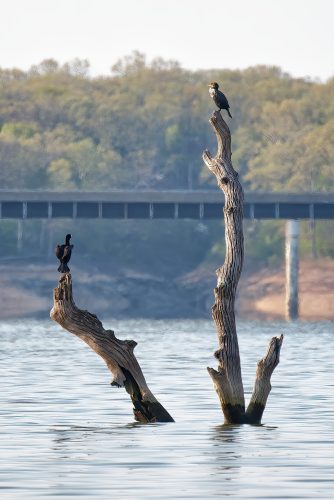 Z5E_7762-NEF_DxO_DeepPRIME_Nik-DeNoiseAI-standard_Nik-SharpenAI-Focus-gigapixel-art-scale-2_00x_DxO