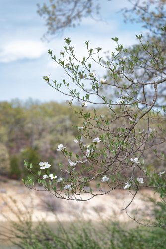 Z5E_7767-NEF_DxO_DeepPRIME_Nik-DeNoiseAI-standard_Nik-SharpenAI-Focus_DxO