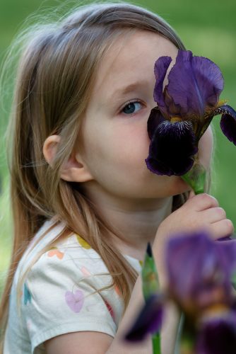 Z5E_7796-NEF_DxO_DeepPRIME_Nik-DeNoiseAI-standard_Nik-SharpenAI-Focus_DxO