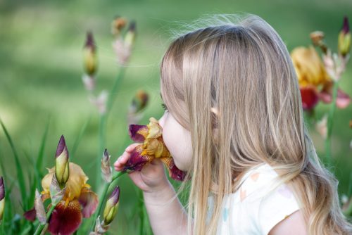 Z5E_7797-NEF_DxO_DeepPRIME_Nik-DeNoiseAI-standard_Nik_Nik-SharpenAI-Focus_DxO
